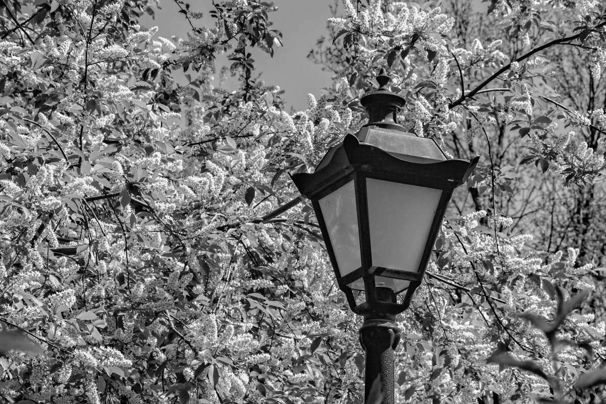 ������ � ����� ����� ������  �� PhotoGeek.ru #������ ��� �������