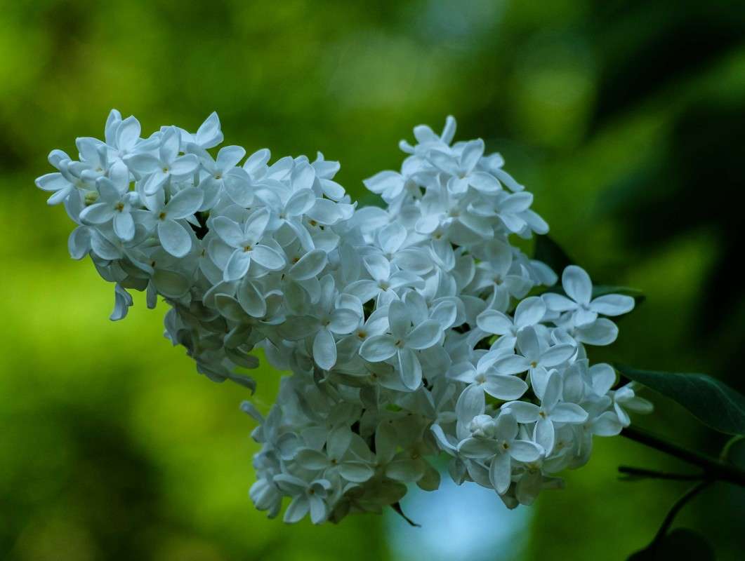 ������ ����� ����� ������  �� PhotoGeek.ru #������ ��� �������