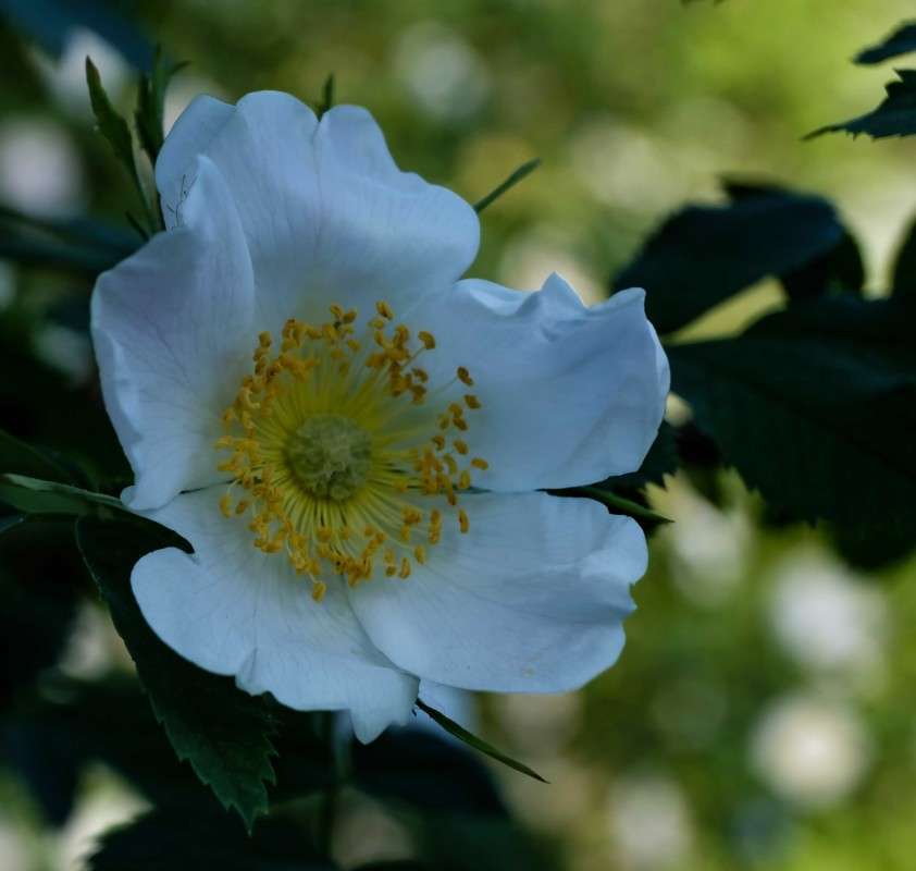 ��������-��������� ���� ����� ������  �� PhotoGeek.ru #������ ��� �������