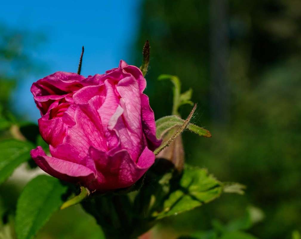 �������� ����� ������  �� PhotoGeek.ru #������ ��� �������