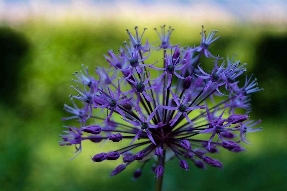 .... ����� ������  �� PhotoGeek.ru #������ ��� �������