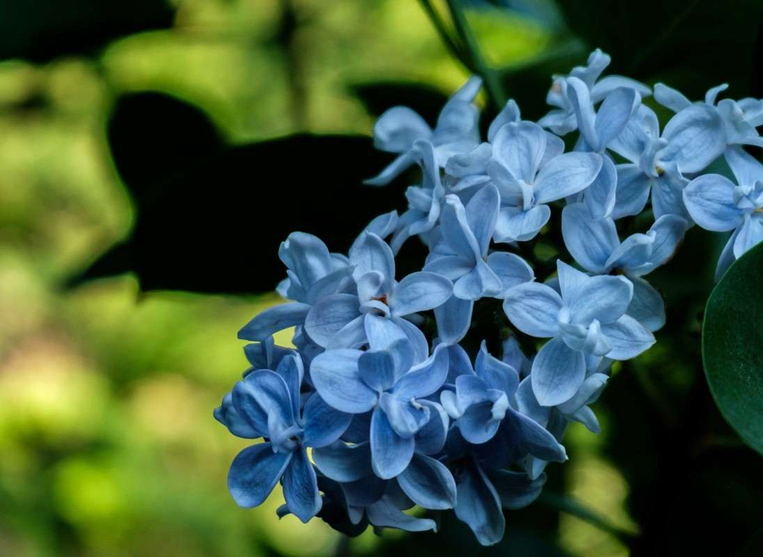 ������ ��������... ����� ������  �� PhotoGeek.ru #������ ��� �������