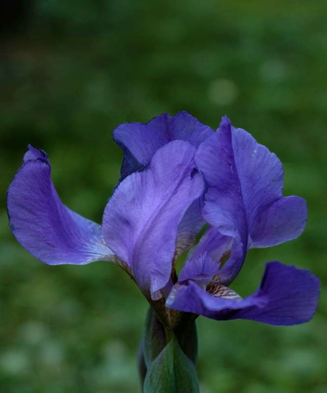 .... ����� ������  �� PhotoGeek.ru #������ ��� �������