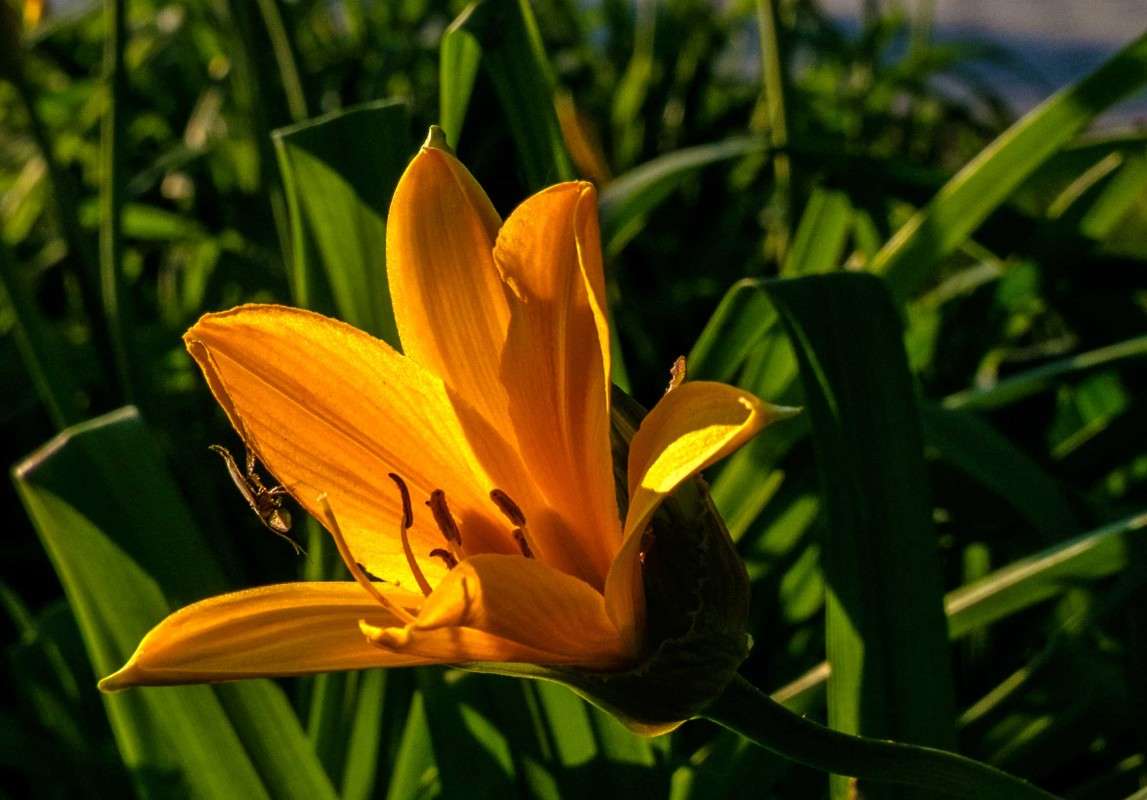 .... ����� ������  �� PhotoGeek.ru #������ ��� �������