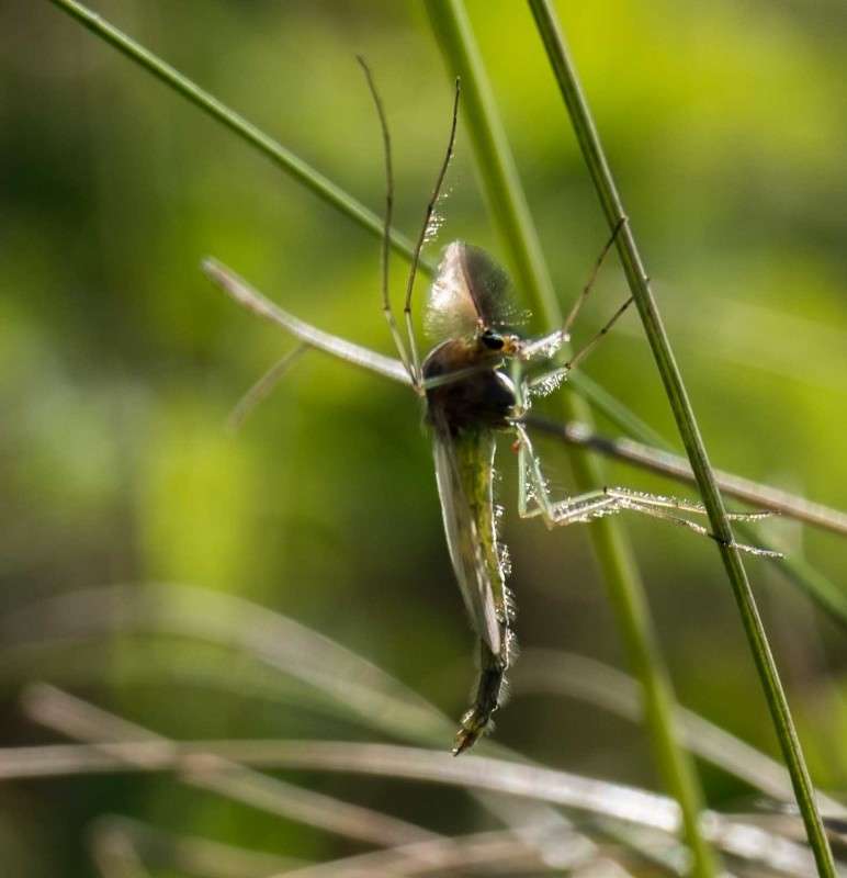 ����������� � ������ ����� ������  �� PhotoGeek.ru #�������� ��� #����� ��� ��� ���������