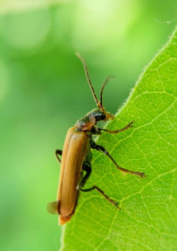 ����� ����� ������  �� PhotoGeek.ru #�������� ��� #����� ��� ��� ���������