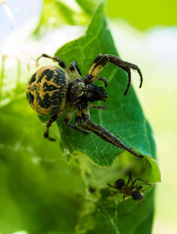 ���� � ������.. ����� ������  �� PhotoGeek.ru #�������� ��� #����� ��� ��� ���������