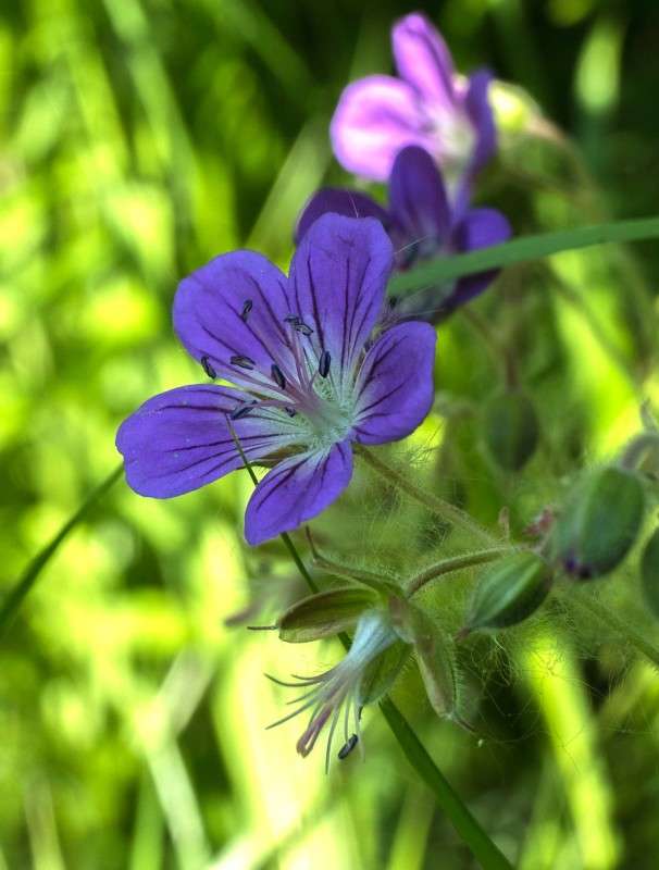 ..... ����� ������  �� PhotoGeek.ru #������ ��� ������� #����� ��������������