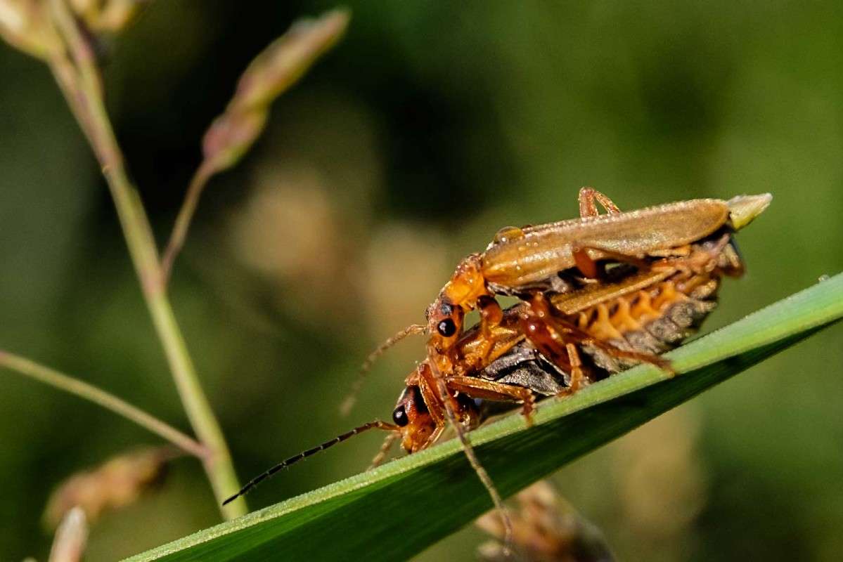 ��� ����� ������  �� PhotoGeek.ru #�������� ���