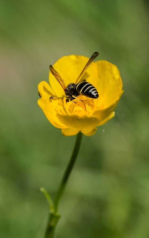 ������ �� ����� ������� �� ���? ����� ������  �� PhotoGeek.ru #�������� ���