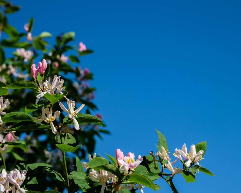 ������� ���� � �����... ����� ������  �� PhotoGeek.ru #������ ��� �������