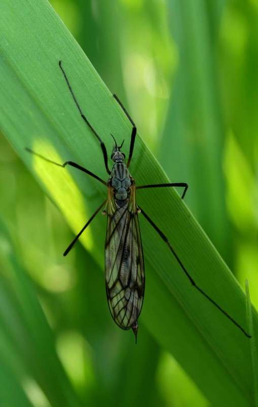 �������� ����� ������  �� PhotoGeek.ru #�������� ��� #����� ��� ��� ���������