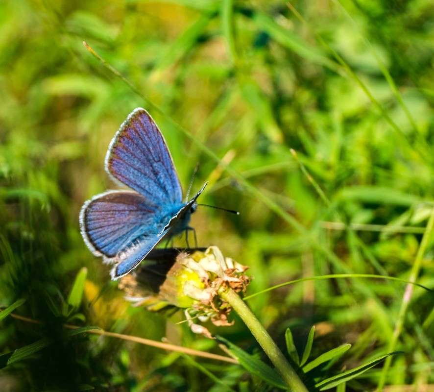 �������... ����� ������  �� PhotoGeek.ru #�������� ��� #����� ��� ��� ���������