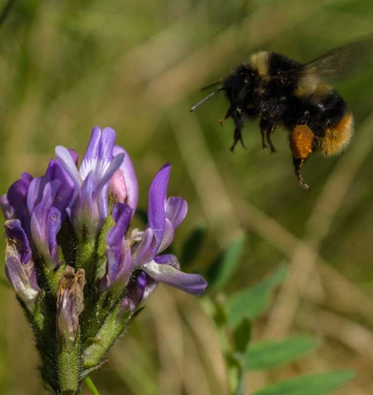 ��� ���� ������ � �����.... ����� ������  �� PhotoGeek.ru #�������� ��� #����� ��� ��� ���������