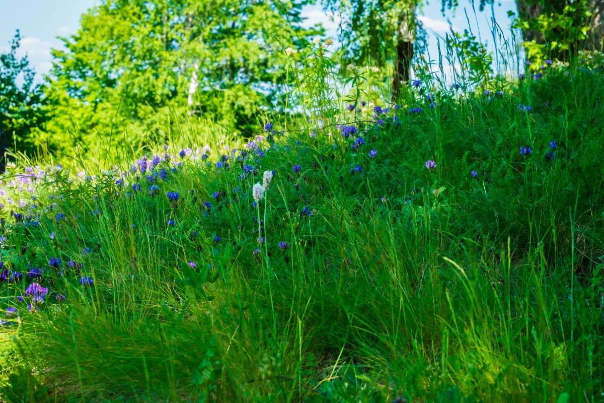 ����... ����� ������  �� PhotoGeek.ru #������ ��� ������� #����� ��������������