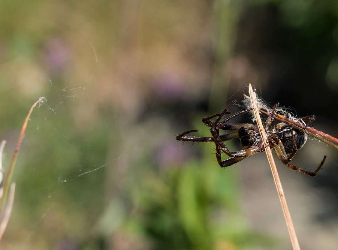 ��� ��� ������ �� �����..... ����� ������  �� PhotoGeek.ru #�������� ��� #����� ��� ��� ���������