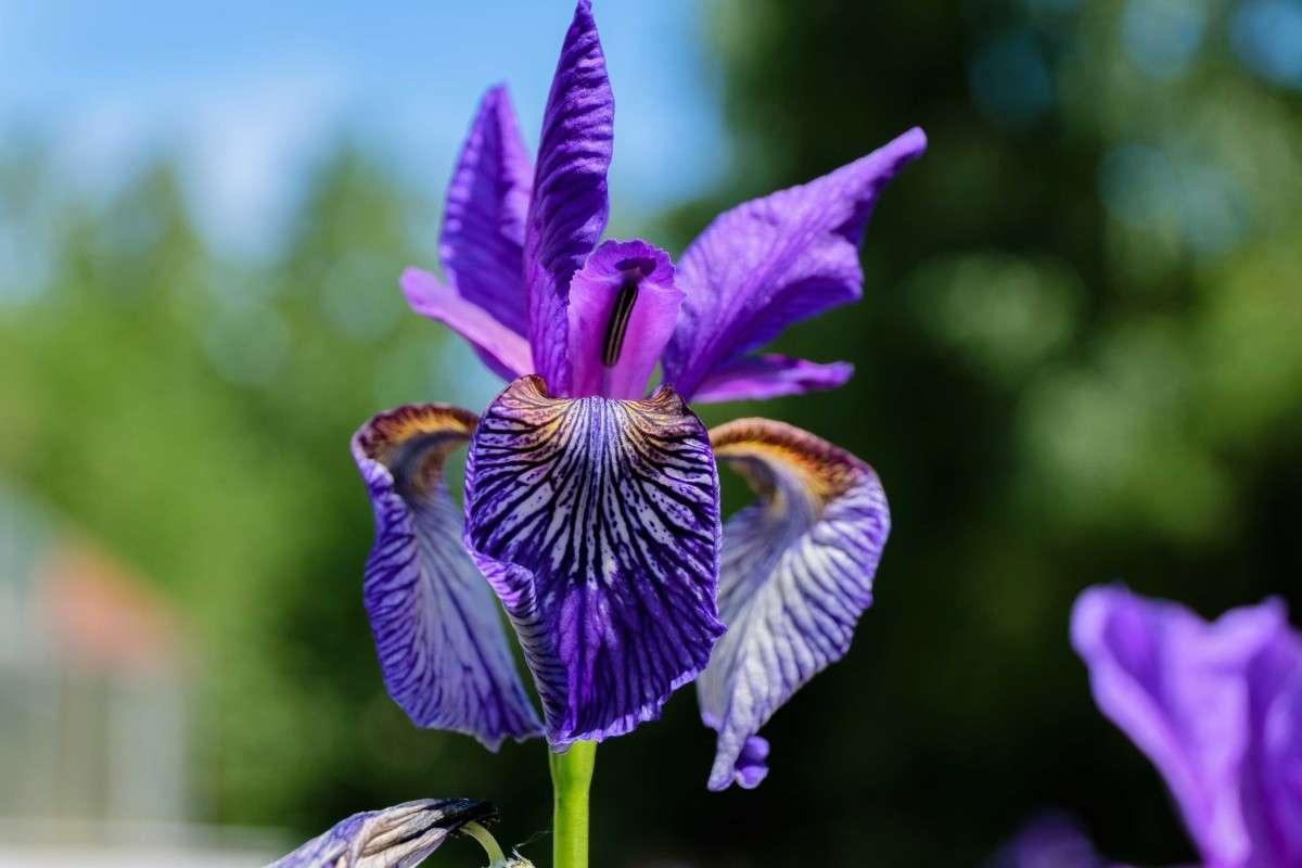 ....... ����� ������  �� PhotoGeek.ru #������ ��� ������� #����� ��������������