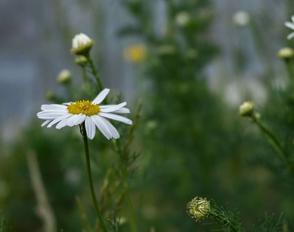 ���� �� ������.. ����� ������  �� PhotoGeek.ru #������ ��� ������� #����� ��������������