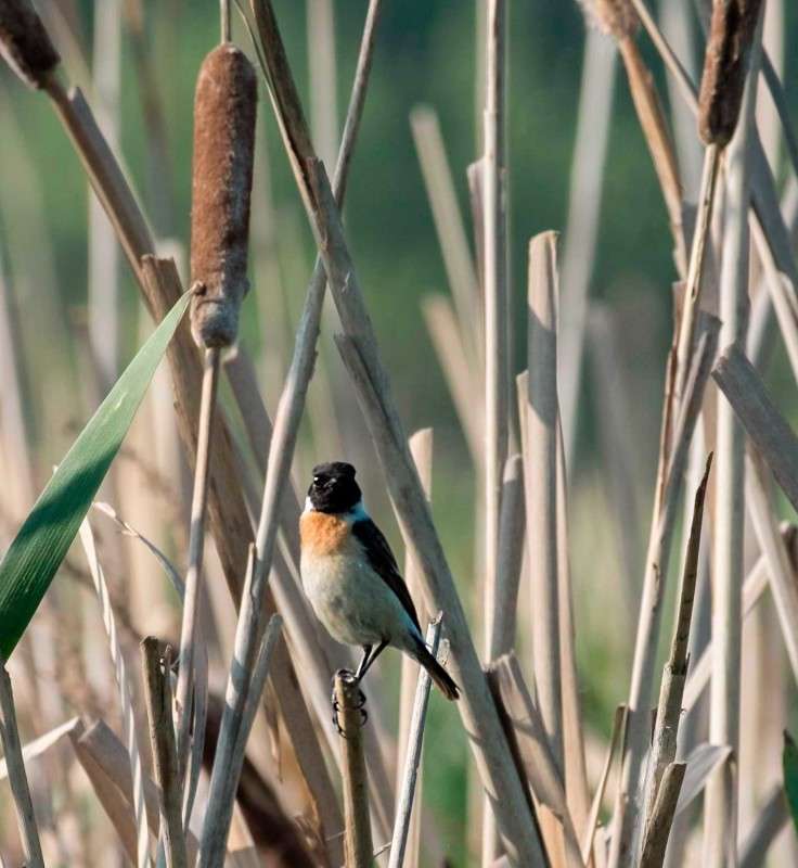 ������ ..� ����� �� ����..... ����� ������  �� PhotoGeek.ru #�������� ��� #����� ��� ��� ���������