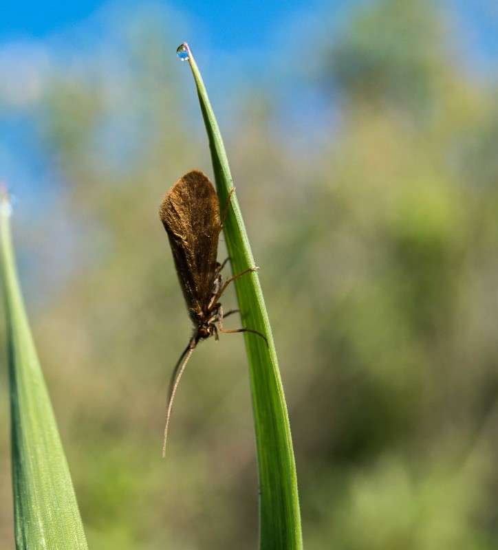 ������� ���������-2 ����� ������  �� PhotoGeek.ru #�������� ���