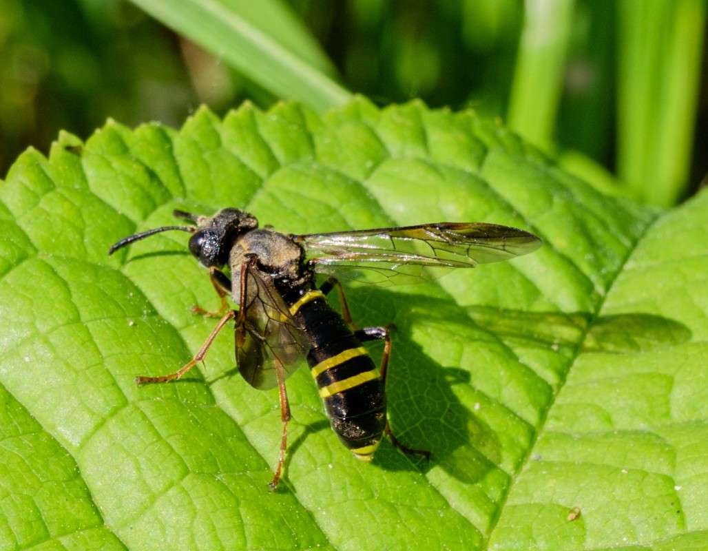 �� ���� ���.... ����� ������  �� PhotoGeek.ru #����� #�������� ��� #����� ��� ��� ���������