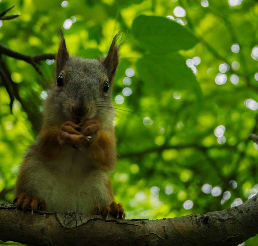 ��������� ����� ������  �� PhotoGeek.ru #�������� ��� #����� ��� ��� ���������