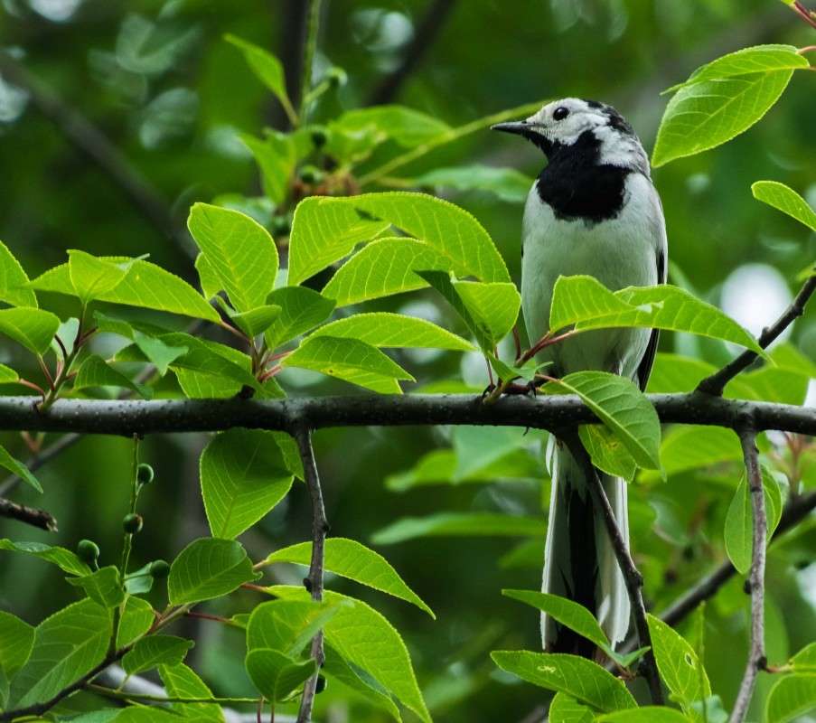 ����������.. ����� ������  �� PhotoGeek.ru #�������� ��� #������ ��� ������� #����� ��� ��� ���������