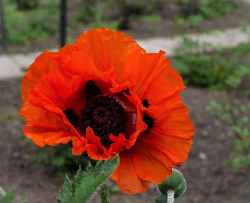 ....... ����� ������  �� PhotoGeek.ru #������ ��� ������� #����� ��������������