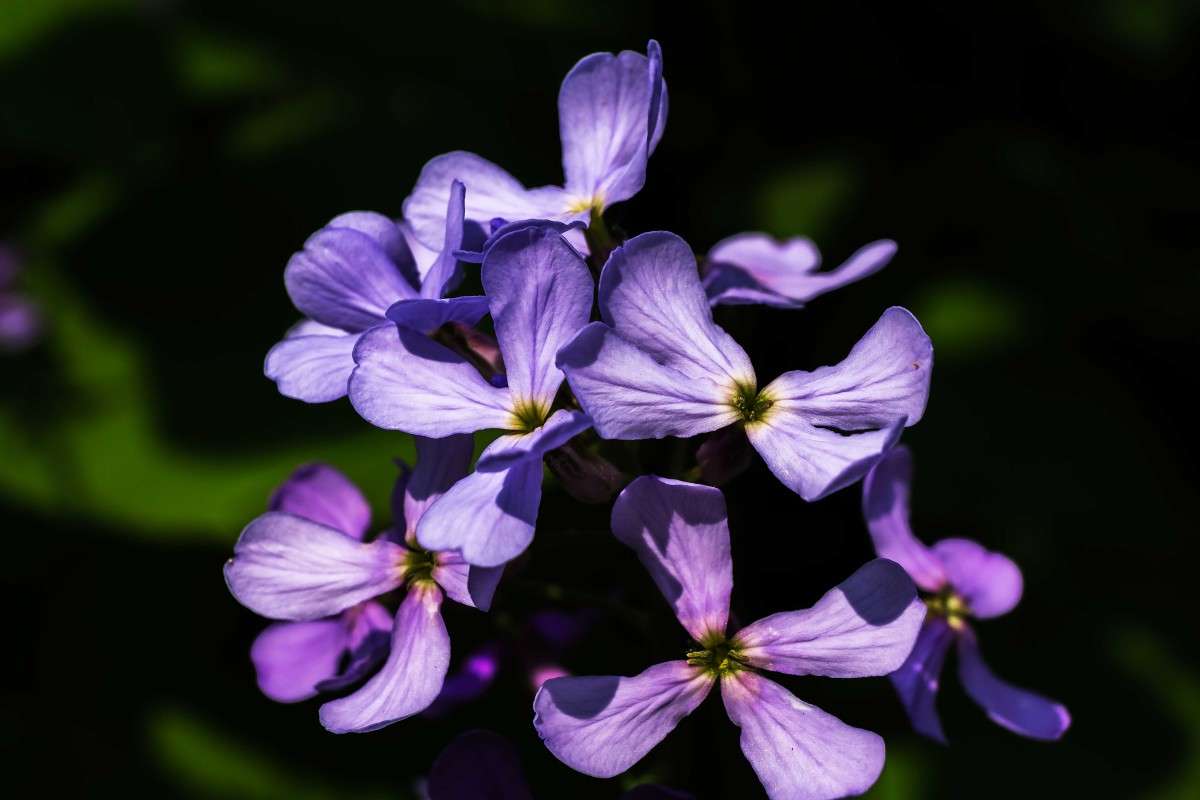 �������.... ����� ������  �� PhotoGeek.ru #������ ��� ������� #����� ��������������