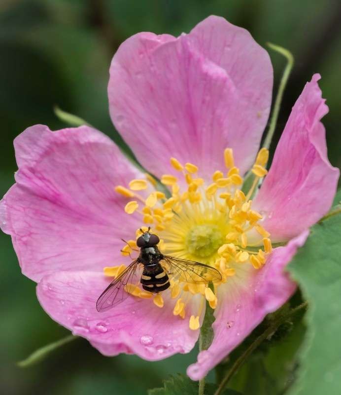 ����� �����... ����� ������  �� PhotoGeek.ru #������ ��� ������� #����� ��������