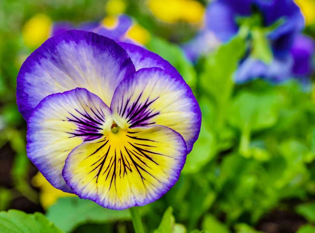 ������� ������.... ����� ������  �� PhotoGeek.ru #������ ��� ������� #����� ��������������