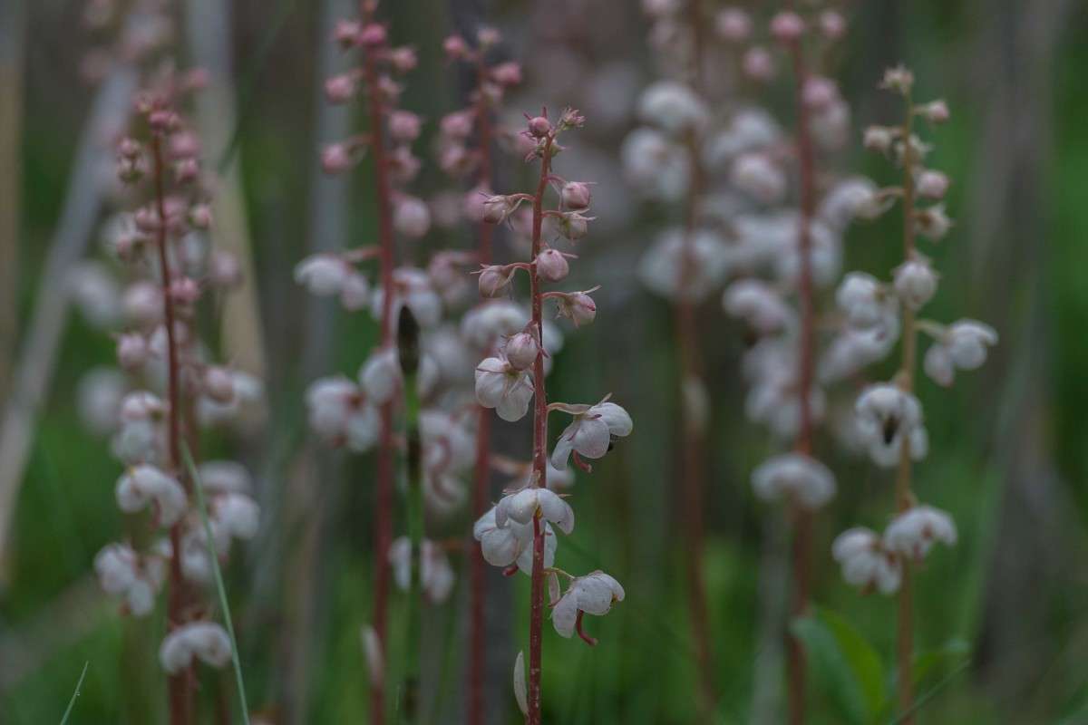 ...... ����� ������  �� PhotoGeek.ru #������ ��� ������� #����� ��������������