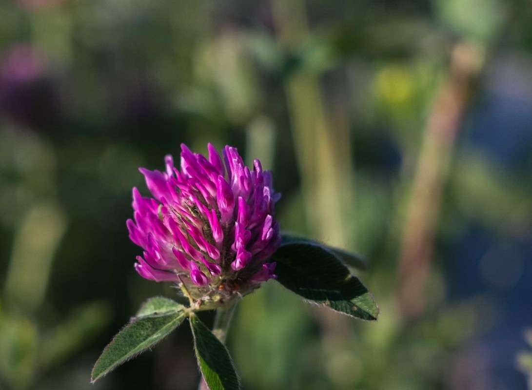 ....... ����� ������  �� PhotoGeek.ru #������ ��� ������� #����� ��������������