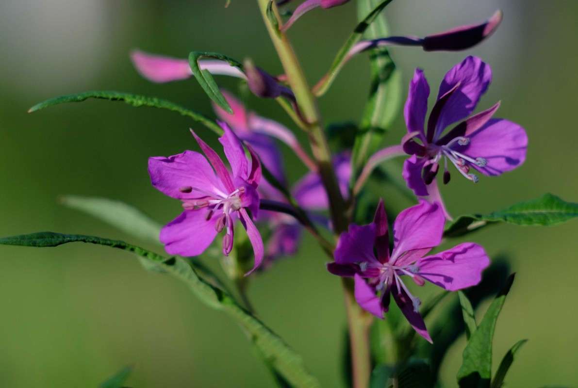 ����-��� ����� ������  �� PhotoGeek.ru #������ ��� ������� #����� ��������������