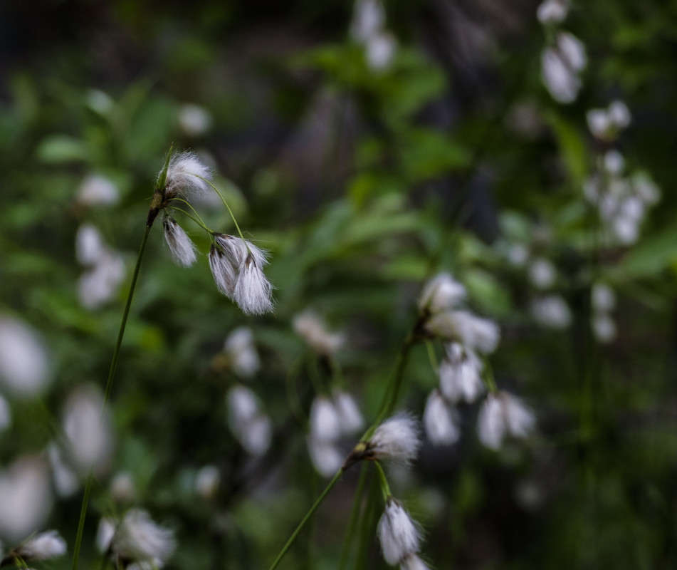 ������� �� ������� �����... ����� ������  �� PhotoGeek.ru #������ ��� ������� #����� ��������������