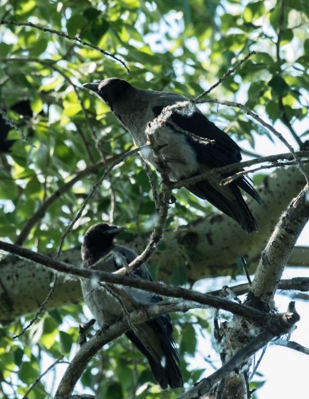 ������� ����� ������  �� PhotoGeek.ru #�������� ��� #����� ��� ��� ���������