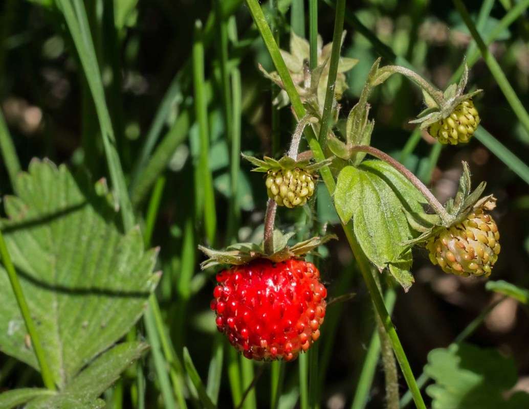 ������..... ����� ������  �� PhotoGeek.ru #������ ��� ������� #����� ��������������