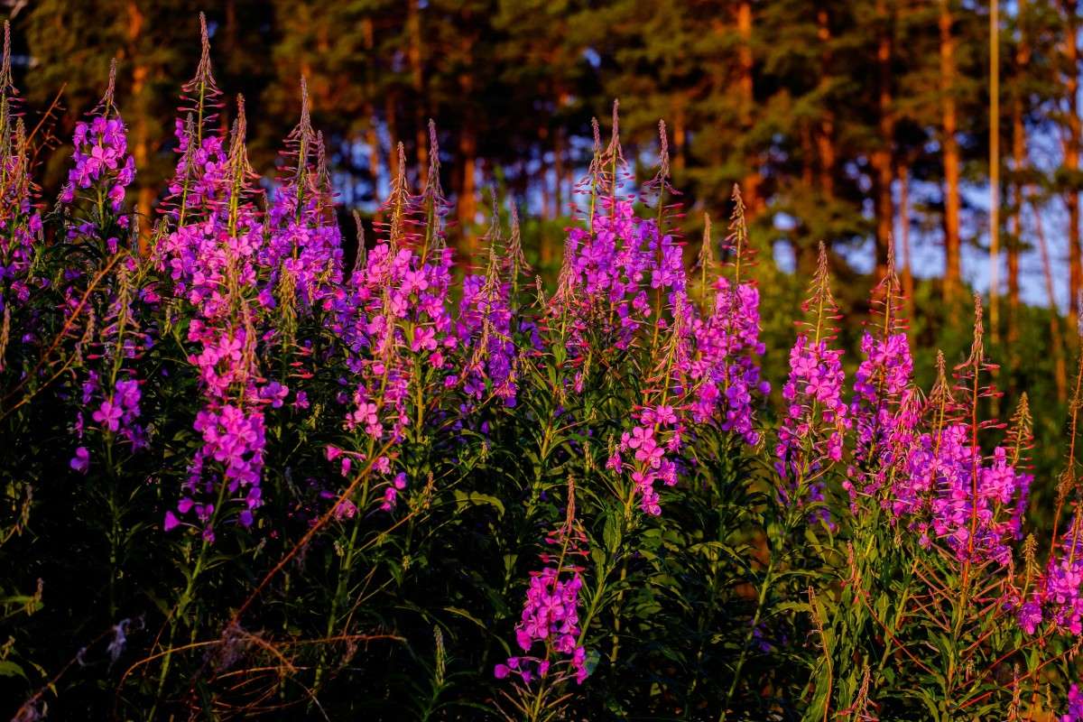 ���� ���������... ����� ������  �� PhotoGeek.ru #������ ��� ������� #����� ��������������