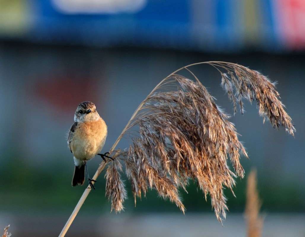 ������������ �����-���� ����� ������  �� PhotoGeek.ru #�������� ��� #����� ��� ��� ���������