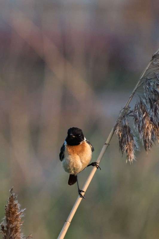 ������������ ����� ����� ������  �� PhotoGeek.ru #�������� ��� #����� ��� ��� ���������