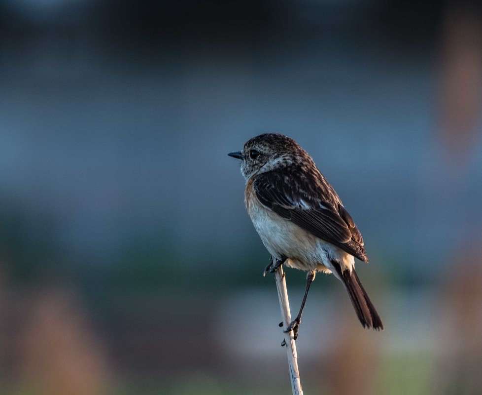 ����������.... ����� ������  �� PhotoGeek.ru #�������� ��� #����� ��� ��� ���������