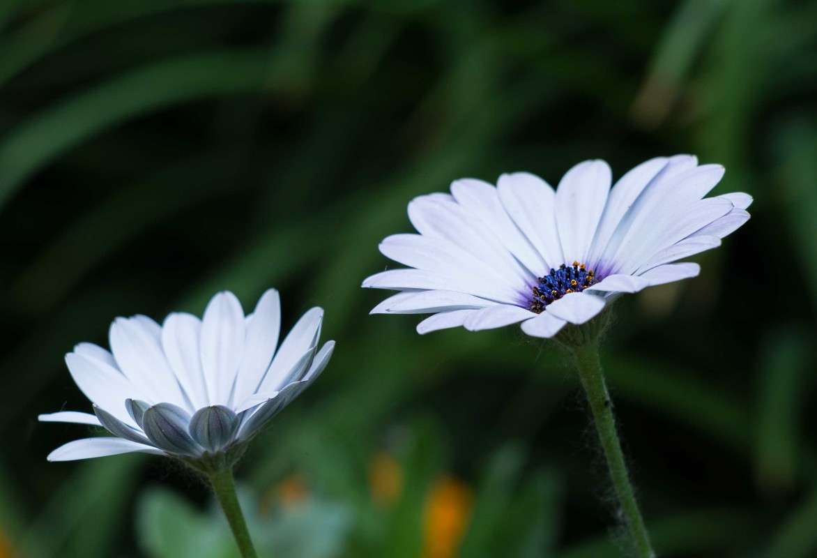 ������� ����������... ����� ������  �� PhotoGeek.ru #������ ��� ������� #����� ��������������