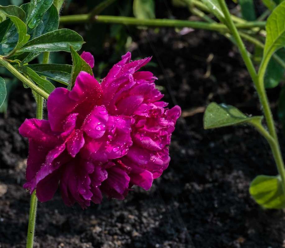 ����������.. ����� ������  �� PhotoGeek.ru #������ ��� ������� #����� ��������������