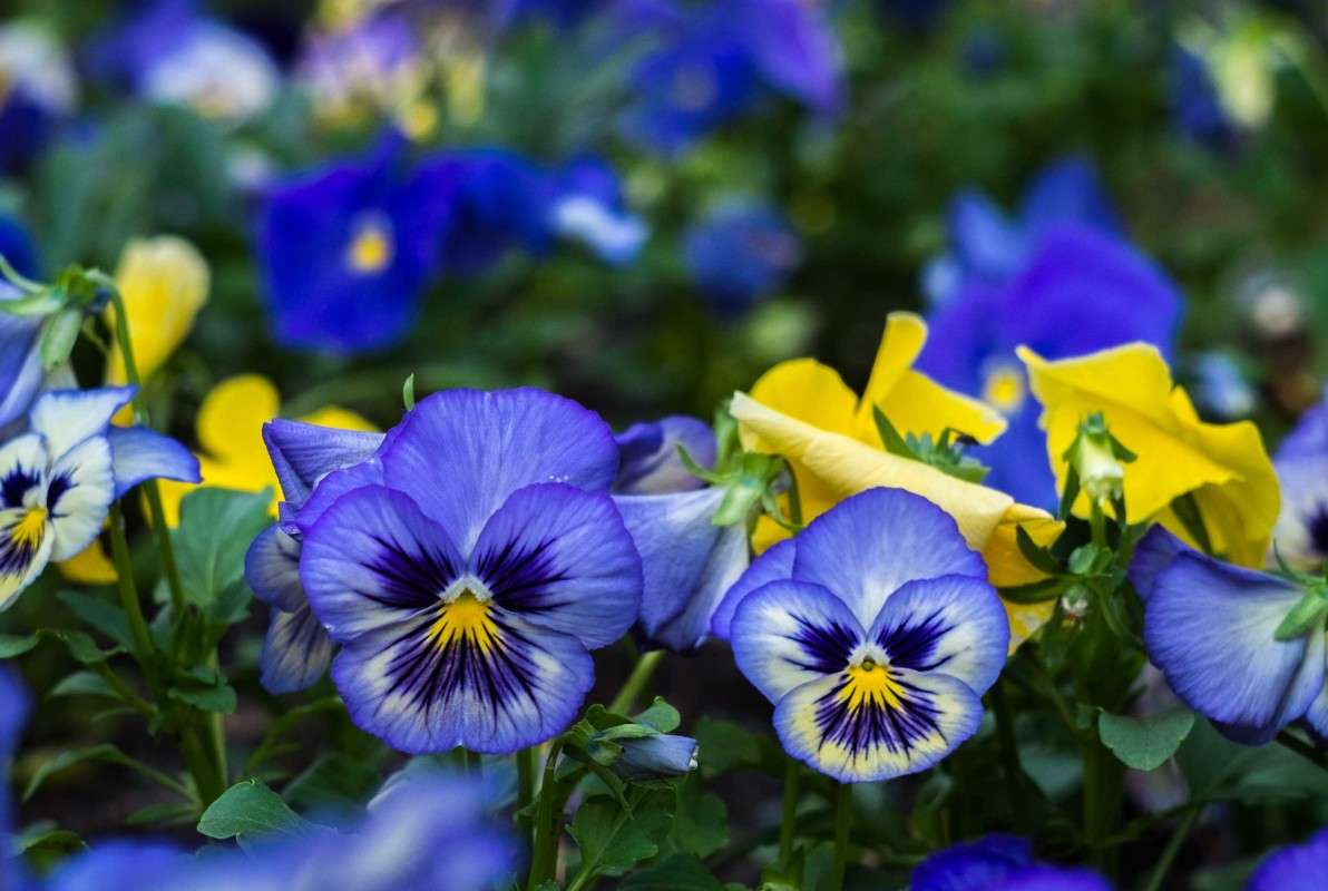 ��� ����� ��������.... ����� ������  �� PhotoGeek.ru #������ ��� ������� #����� ��������������