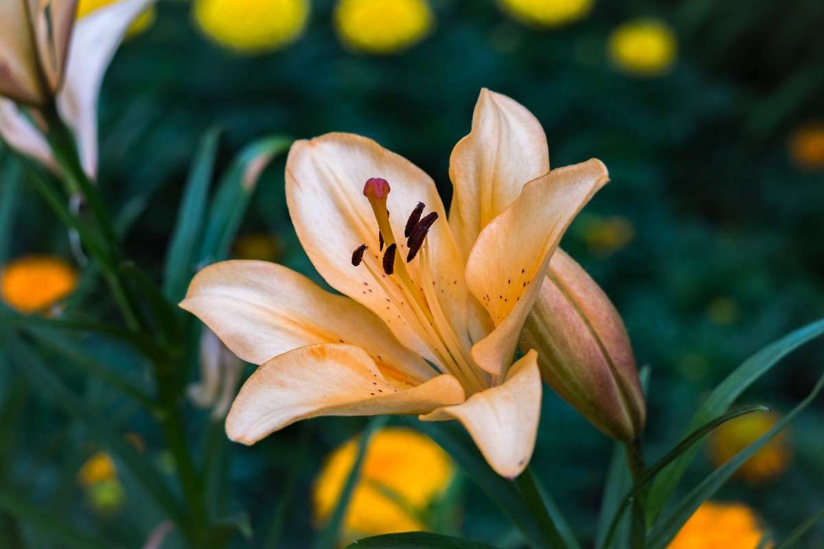 �����������.... ����� ������  �� PhotoGeek.ru #������ ��� ������� #����� ��������������