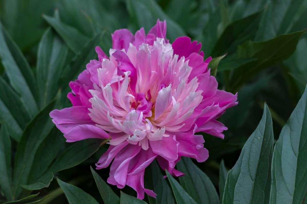 ����������...... ����� ������  �� PhotoGeek.ru #������ ��� ������� #����� ��������������