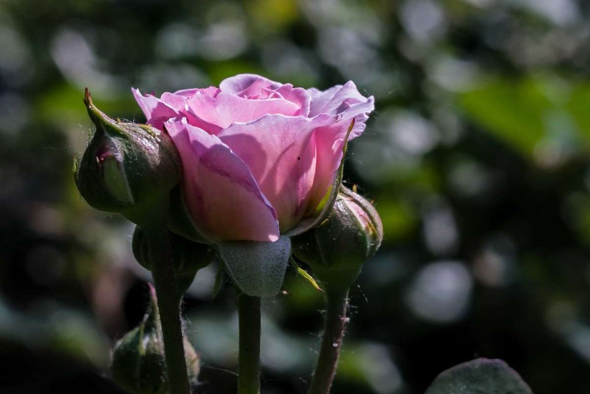 �������������...... ����� ������  �� PhotoGeek.ru #������ ��� ������� #����� ��������������