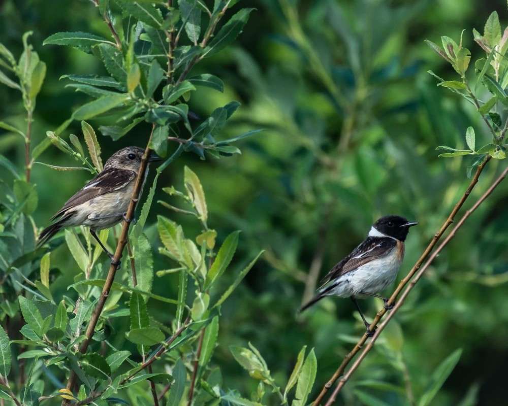 ������� ����� ������  �� PhotoGeek.ru #�������� ��� #����� ��� ��� ���������