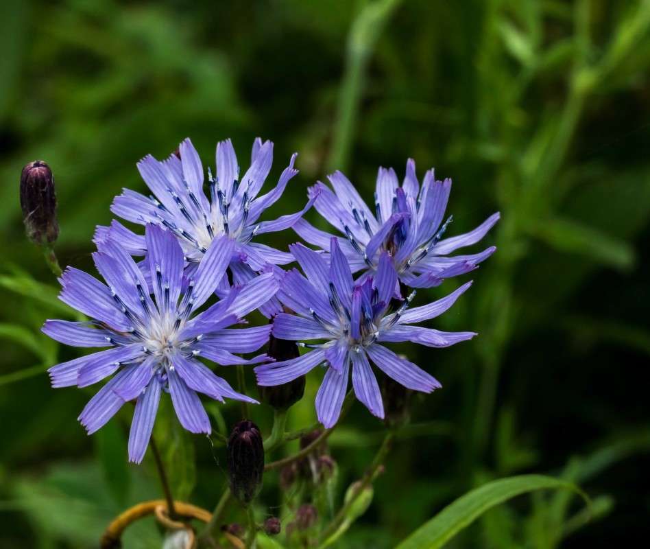 ....... ����� ������  �� PhotoGeek.ru #������ ��� ������� #����� ��������������