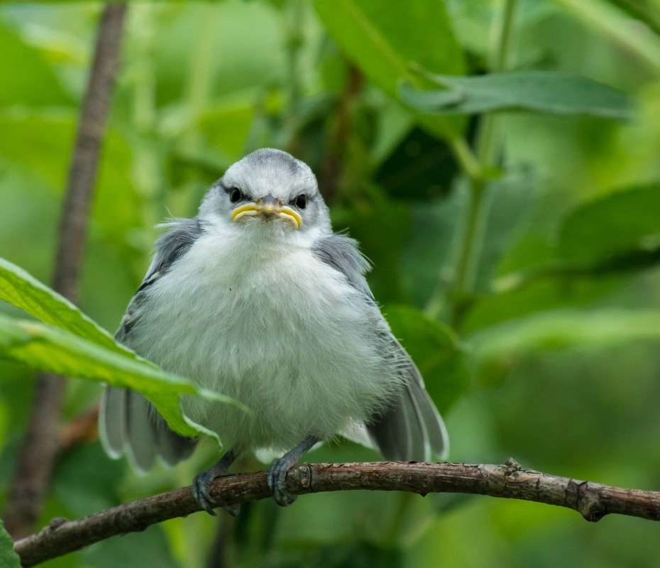 ��������� ����������... ����� ������  �� PhotoGeek.ru #�������� ��� #����� ��� ��� ���������